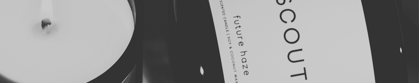 FUTURE HAZE